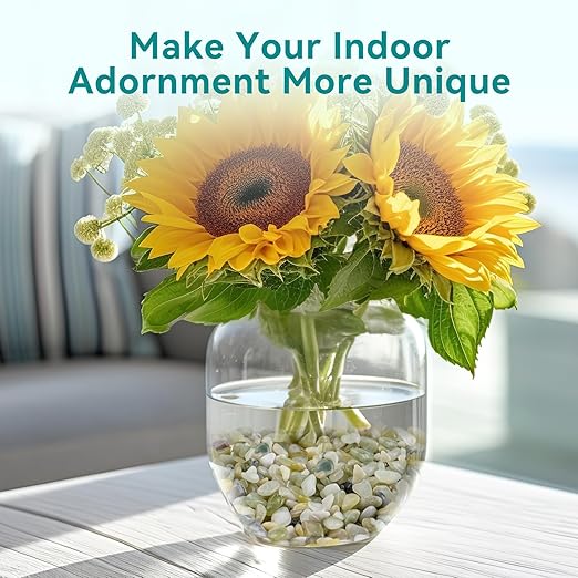 5 lbs Jade Pebbles for Indoor Plants, 1/5 Inch Succulent and Cactus Pebbles, Decorative Gravel for Vases, Bamboo,Terrarium, Crafts, Cactus