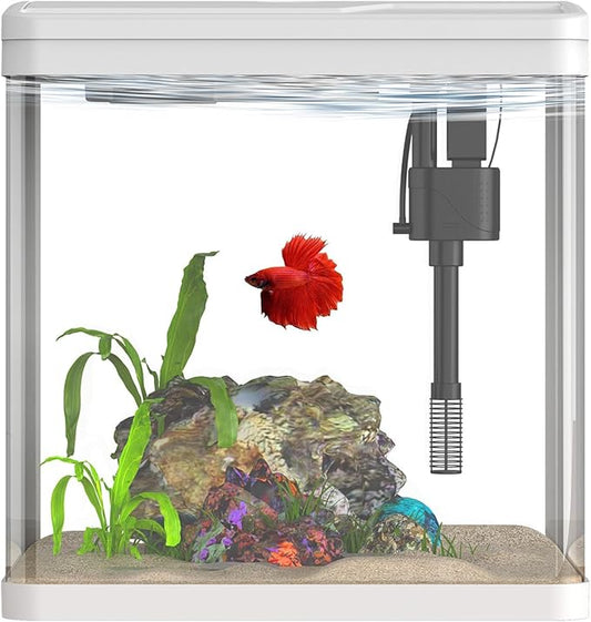 2 Gallon Glass Betta Fish Tank，Small Fish Tank with Filter and Light,Self-Cleaning Fish Tank.