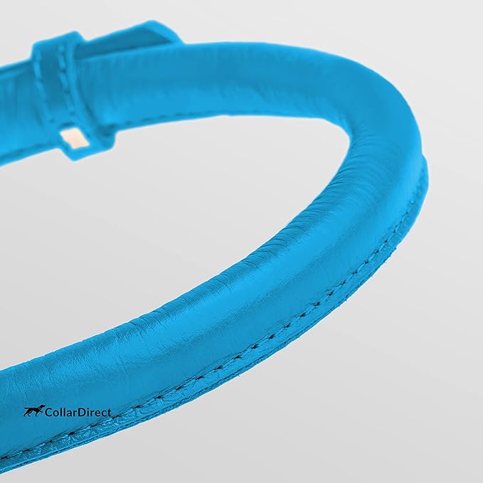 CollarDirect Rolled Leather Dog Collar, Soft Padded Round Puppy Collar, Handmade Genuine Leather Collar Dog Small Large Cat Collars 13 Colors (8-11 Inch, Light Blue Textured)