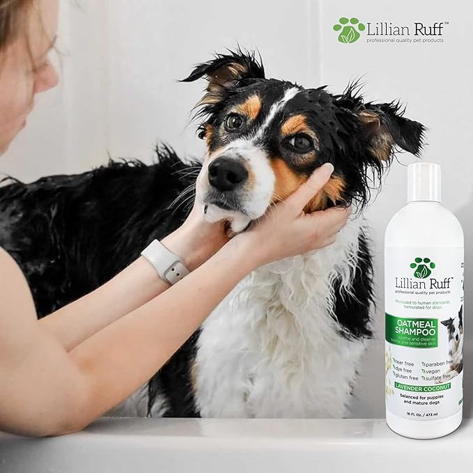 Lillian Ruff Calming Oatmeal Pet Shampoo for Dry Skin & Itch Relief with Aloe & Hydrating Essential Oils - Replenish Moisture & Deodorize - Gentle Dog Shampoo for Normal/Sensitive Skin (16oz & Brush)