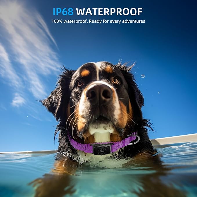 Upgraded AirTag Dog Collar, IP68 Waterproof Air Tag Dog Collar Holder, Reflective, Ultra-Durable, Comfortable Padded, Heavy Duty Dog Collars for Small Medium Large Dogs (S (10.6"-13.6"), Purple)