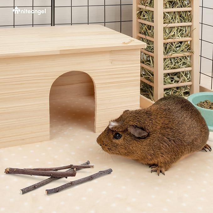 Niteangel Apple Sticks Natural Chew Toys for Rabbits, Chinchilla, Guinea Pigs, Hamsters and Other Small Animals (Apple Twig)