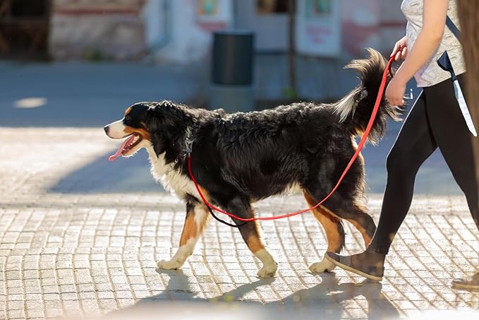 TwoEar 6FT 1IN Strong Red Dog Leash with 2 Padded Handles, Traffic Handle Extra Control, Comfortable Soft Dual Handle, Auto Lock Hook, Reflective Walking Lead for Small Medium and Large Dogs