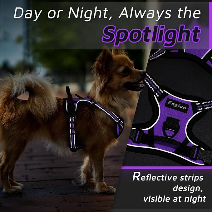 Eagloo Small Dog Harness No Pull, Service Vest with Reflective Strips and Control Handle, Adjustable and Comfortable for Easy Walking, No Choke Pet Harness with 2 Metal Rings, Purple, XS