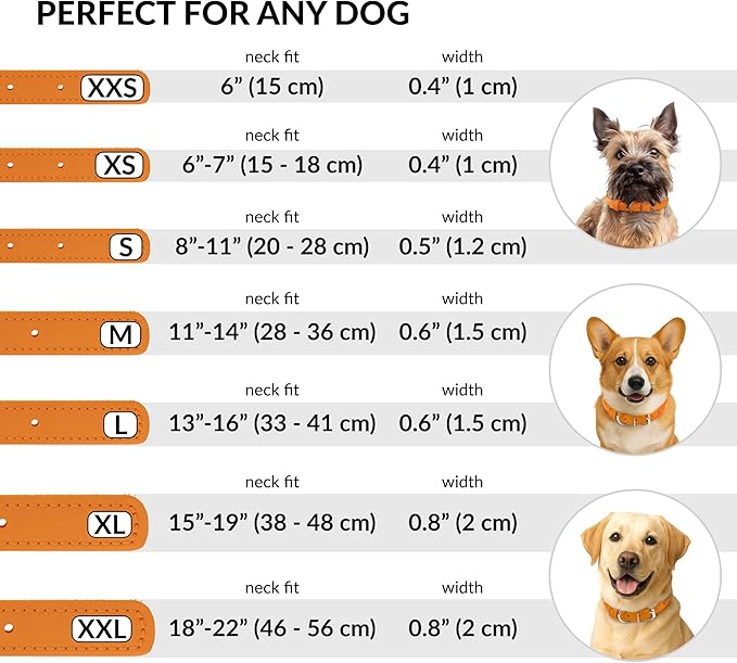 CollarDirect Rolled Leather Dog Collar, Soft Padded Round Puppy Collar, Handmade Genuine Leather Collar Dog Small Large Cat Collars 13 Colors (13-16 Inch, Orange Smooth)