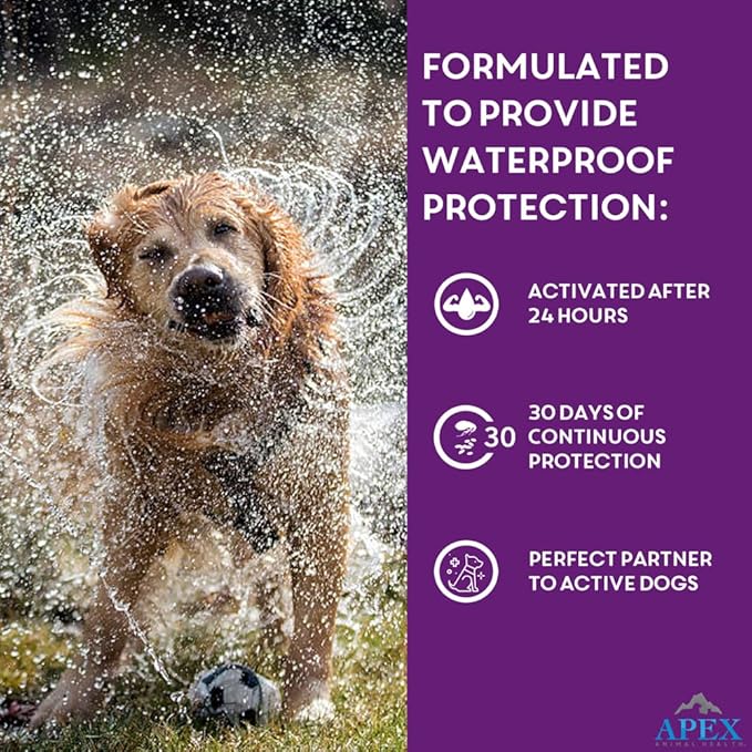 Apex Plus Flea and Tick Prevention for Dogs | Large (45-88 lbs) | 6-Month Supply | Dog Flea and Tick Treatment | 24-Hour Activation, Waterproof, 30-Day Protection