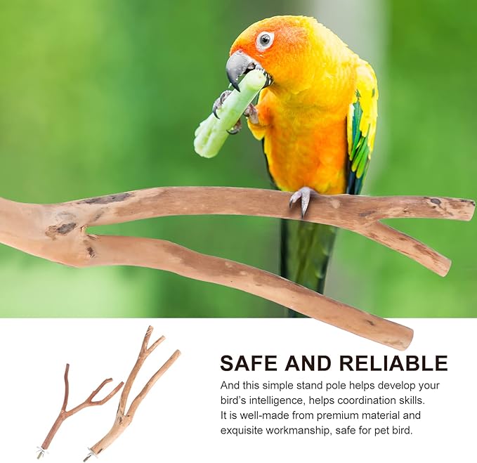 2pcs Bird Parrot Perch Stand Poles, Natural Wooden Parrot Perch for Cage, Branches Fork Rod for Small Parakeets Cockatiels Conure Lovebirds Bird Cage Accessories