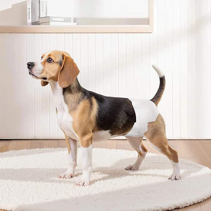 VEVOR Disposable Dog Diapers, Super Absorbent Female Dog Diapers, 360° Leak-Proof Female Doggy Pet Diaper with Wetness Indicator for Heat Period, Training, Incontinence - S, 144 Count (2 Packs of 72)