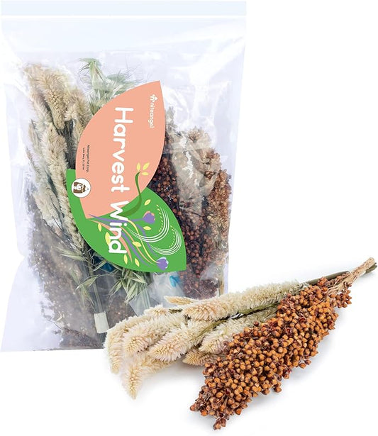 Niteangel Natural & Soft Hamster Bedding Mate Small Animal Habitat Decor for Syrian Dwarf Hamsters Gerbils Mice Degus Bunny or Other Small-Sized Pet