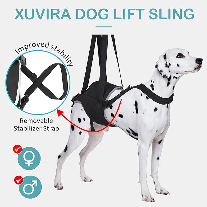 Dog Sling for Medium Dogs Hind Leg Support – Helps with Joint Pain, Mobility Issues, and Ivdd, Rear Leg Lift Harness with Chest Strap, Adjustable Elastic, and Reflective Material, M