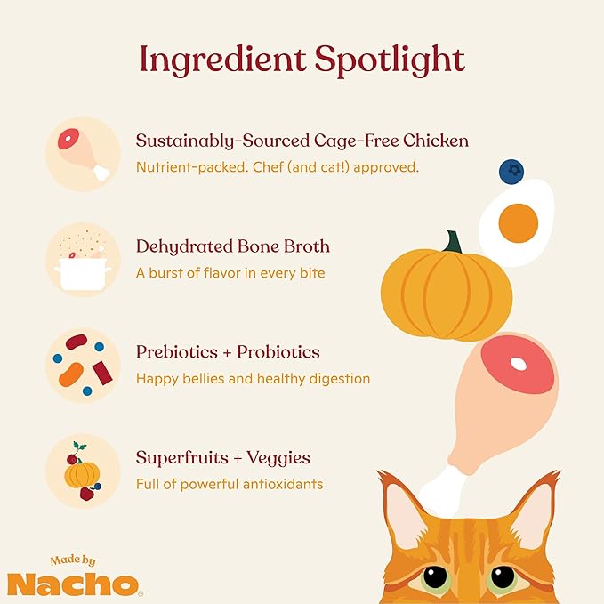 Made by Nacho Dry Cat Kibble 11lb Bag, High Protein and Grain-Friendly Premium Cat Food, Cage-Free Chicken & Pumpkin Recipe, Infused with Bone Broth for Hydration, Limited Ingredients, Single Bag
