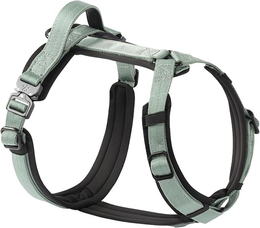 CLEPAWS Dog Harness for X-Large Dogs, No Pull Dog Harness Easy Walk with Metal Hardware, Ergonomic Y-Shaped Design, Soft Padding, Padded Handle, Durable High-Tensile Nylon (Seabreeze, XL)