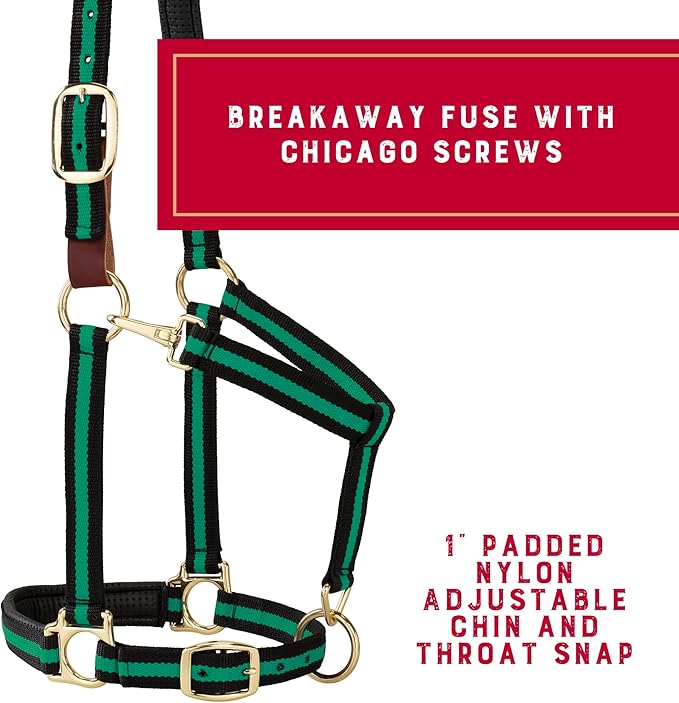 Weaver Equine Breakaway Horse Halter, Comfort Foam Padding, Adjustable Chin & Throat Snap Halters for Horses, Equine Tack,Average Size, Green