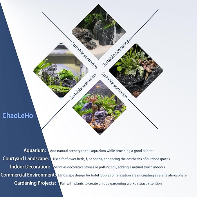 Seiryu Stone Natural Stone Rocks Fish Tank Decor Rocks for Aquariums Landscaping Model Tank Decoration Aquarium Miniature -20Lb (2-8 inch)