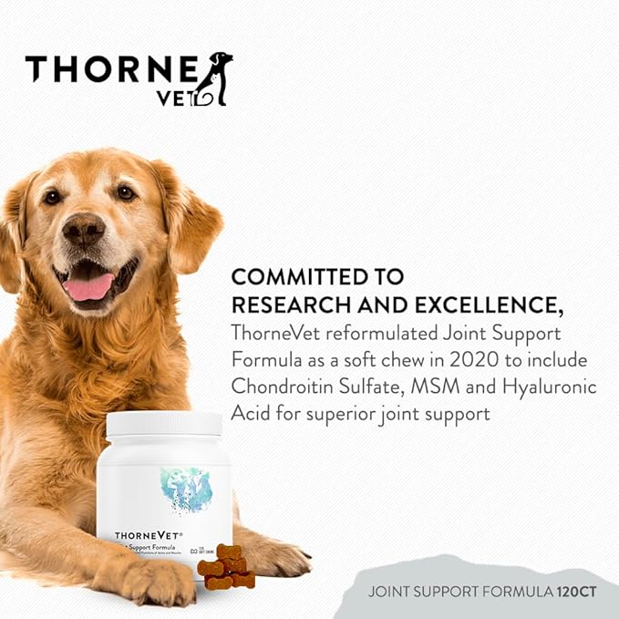 ThorneVET Joint Support Formula – Dog & Cat Joint Health Support, 120 Soft Chews