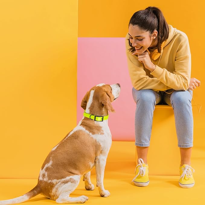 Dogline Biothane Waterproof Dog Collar Strong Coated Nylon Webbing with Black Hardware Odor- Proof for Easy Care Easy to Clean High Performance Fits Small Medium or Large Dogs, Safety Yellow