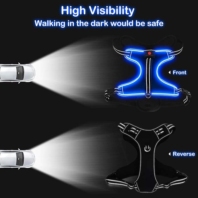 LED Dog Harness, No Pull, Light Up, Rechargeable, Blue, Large