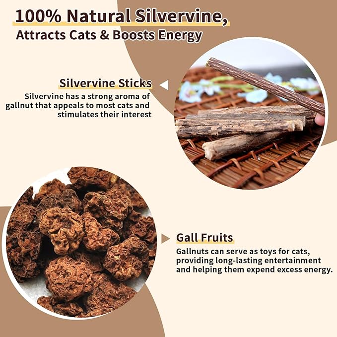 6 Pack Silvervine Cat Chew Toys, Natural Dental Sticks for Indoor Cats, Kittens Teeth Cleaning, Catnip Alternative, Interactive Play, Yellow