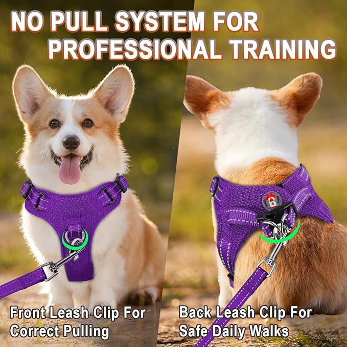 Dog Harness Step in Dog Vest Harness, Reflective Adjustable Puppy No Pull Harness Breathable Soft for Small and Medium Dogs Cats, Purple, XS