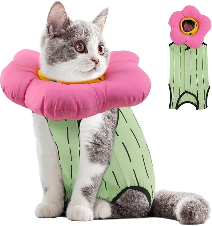 EMUST Cute Cat Recovery Suit and Adjustable Flower Cone Collar Set - Soft Surgical Suit for Abdominal Wounds, Cat Cones After Surgery for Female Kittens Under 4lb (Green)