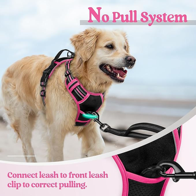 rabbitgoo Dog Harness No Pull with 2 Leash Clips, Adjustable Soft Padded, Reflective Oxford No Choke Pet Vest with Easy Control Handle for Large Dogs, Black & Hot Pink, M