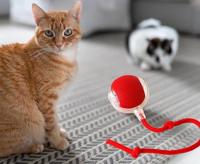 Interactive Pet Chase Toy - Rechargeable, Motion Ball, Self-Moving Kitten Toy for Indoor Interactive Playing, Smart Cat Rolling Ball