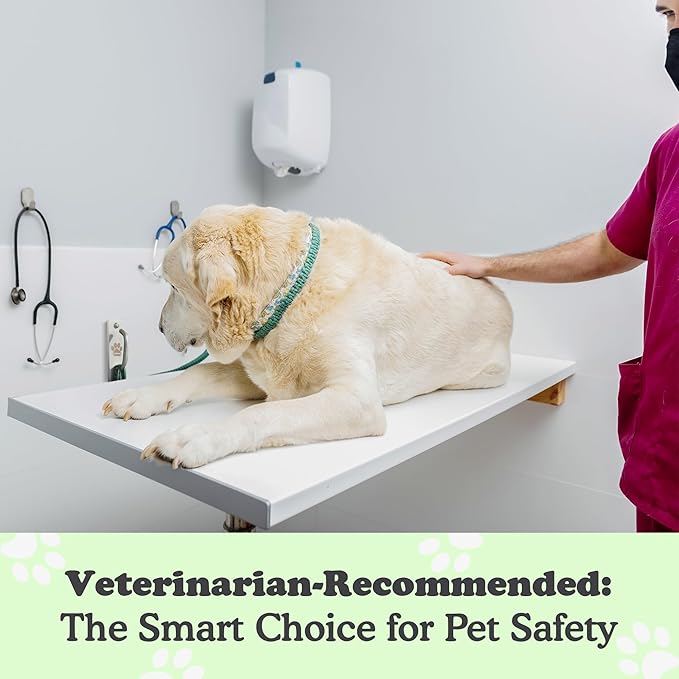 Canine Hitch- Secure Dog Leash Parking Mounted Indoor – Outdoor Wall Hook - Tie Out Stainless Steel Practical Lead Management for Home & Business, Slim Compact 6 Pack