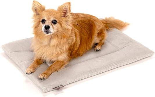 KindTail Dog Crate Pad - Soft Velvet, Reversible Bed - Machine Washable Kennel Mat for Pets up to 15 lbs, Mattress for Cozy Sleeping - 20” x 15” x 1” (Light Grey, Small)