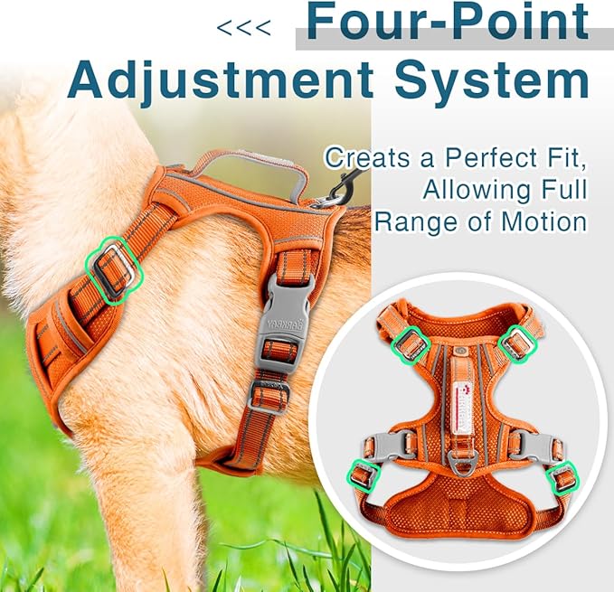 BARKBAY Dog Harness No Pull with ID Tag Pocket - Heavy Duty, Reflective, Easy Control for Large Dogs(Orange,M)