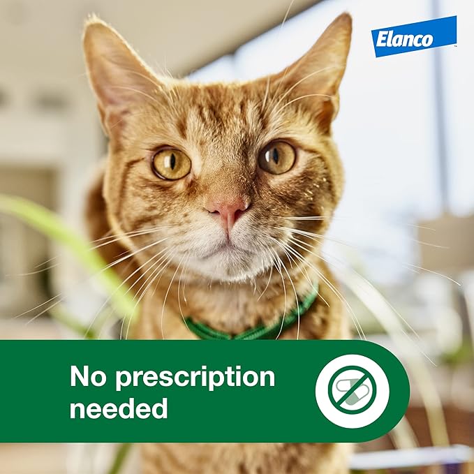 Advantage XD Large Cat Flea Prevention & Treatment For Cats over 9lbs. | 2-Topical Doses, 2-Months of Protection Per Dose