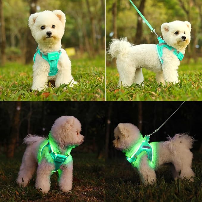 Light Up Dog Harness,Rechargeable LED Dog Harness for Small Medium Large Dogs,Reflective Lighted Safety Vest for Night Walking & Camping,Lightweight & Adjustable,Light Green,L