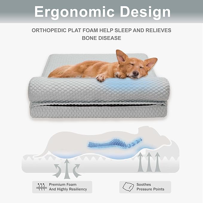 Tinaco Orthopedic Dog Couch Bed for Large Dogs, Cats - XX-Large, Removable Washable Cover