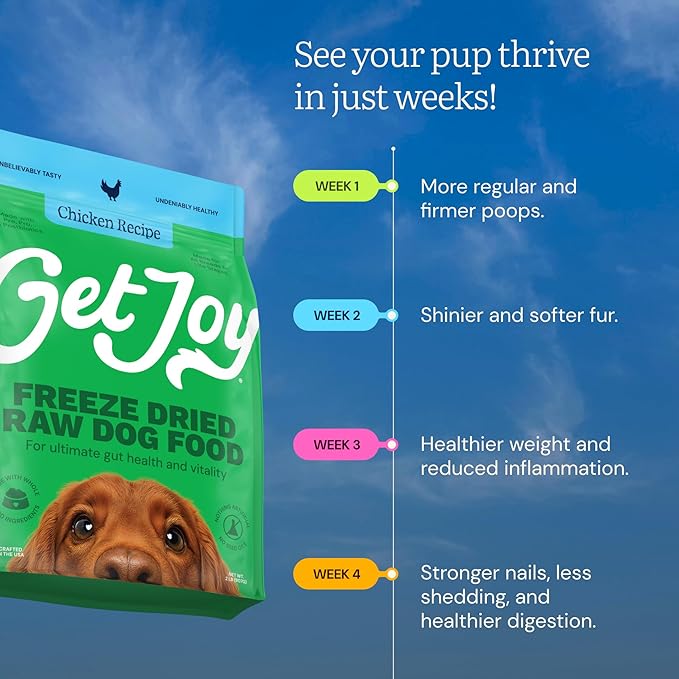 Get Joy Gut Health Fresh Freeze Dried Raw Meal, Chicken Recipe, 16 Ounce Bag, Dog Food for Dogs of All Breeds and Life Stages, PhD Animal Nutritionist Formulated, Made in USA