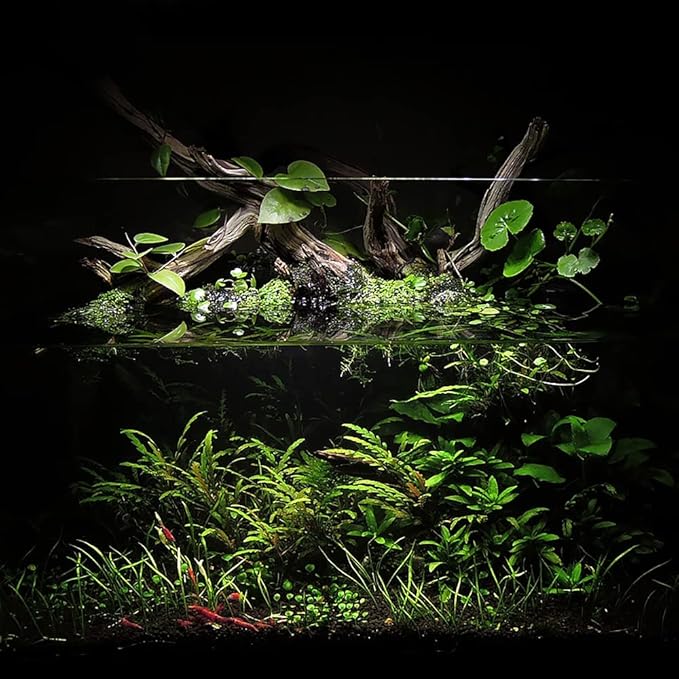 Ultum Nature Systems Controsoil - Freshwater Aqua Soil Substrate for Fish, Shrimp, Live Plant Propagation and Aquascaping - 6.8pH Low Ammonia, Volcanic Ash - Black, Extra Fine (3 Liter | 6LB)