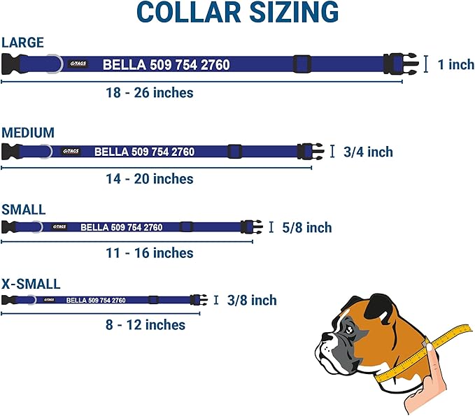 GoTags Personalized Dog Collar with Nameplate, Adjustable Dog Collar with Custom Engraved Slide On Pet ID Tag in Stainless Steel, Silent, No Noise Dog Tag for Large Medium and Small (Blue, Medium)