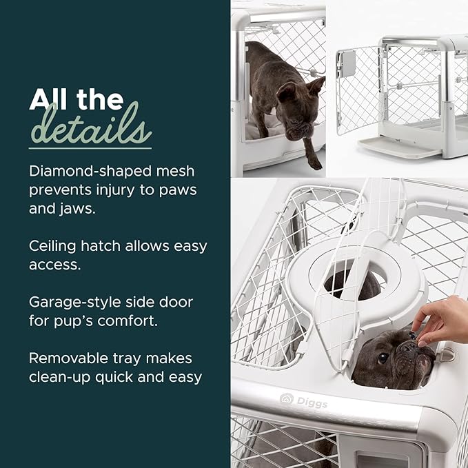 DIGGS Revol Collapsible Dog Crate with Wheels - Premium Portable Dog Crate - Safe, Stylish, and Convenient Indoor Kennel (Ash, Small)