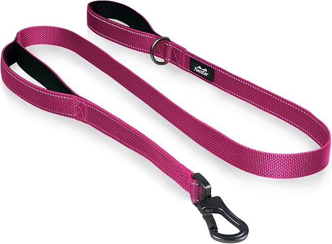 TwoEar 4FT 1IN Strong Rose Dog Leash with 2 Padded Handles, Traffic Handle Extra Control, Comfortable Soft Dual Handle, Auto Lock Hook, Reflective Walking Lead for Small Medium and Large Dogs