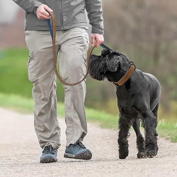 Didog Soft Padded Leather Dog Collar and Leash Set, Adjustable Dog Leash and Collar Set with Metal Buckle, Breathable Dog Collars with 4FT Leather Dog Leash for Small Medium Large Dogs, Brown, M