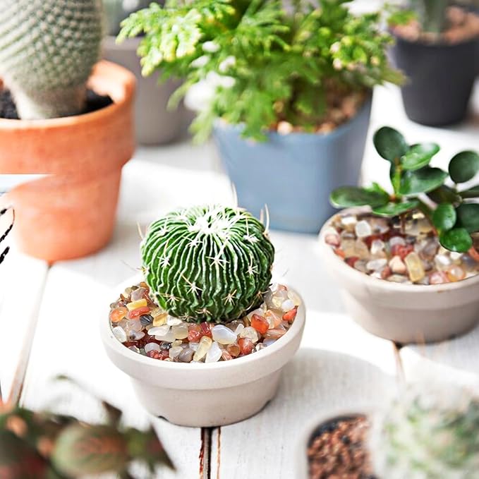 Halatool 2.2LB Crystal Pebbles 0.27"- 0.79" Natural Landscaping Pebbles Aquarium Gravel Decorative Polished Stone Suitable for Plants Home Decoration DIY Handmade Fish Tanks Vase Filler