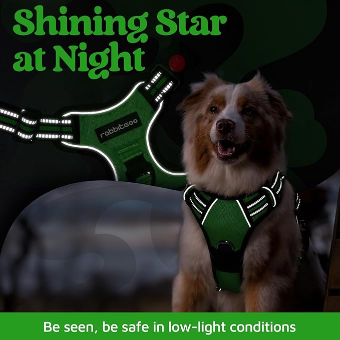 rabbitgoo Dog Harness Small Sized, No Pull Dog Vest with 3 Buckles, Adjustable Soft Padded Pet Harness with Easy Control Handle and Reflective Strips, Green, S