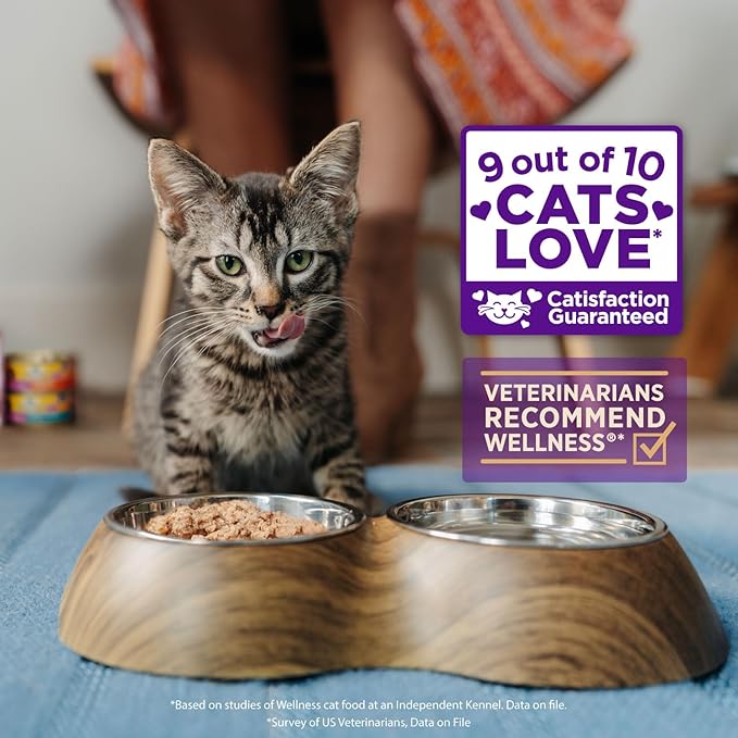 Wellness Healthly Indulgence Morsels Adult Wet Cat Food, Natural, Protein-Rich, Grain Free, 3 Ounce Pouch, 24 Pack, (Chicken & Salmon)