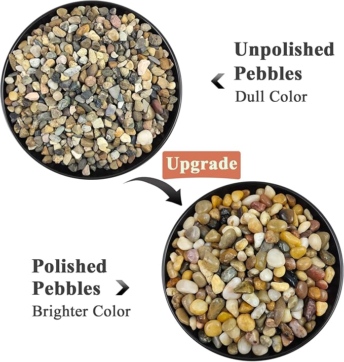 2 Pounds Pebbles for Plants, 3/8 Inch Polished Pea Gravel. Decorative Stones River Rocks for Succulent Soil Cover, Cactus, Aquarium, Vase and Outdoor Garden Landscaping