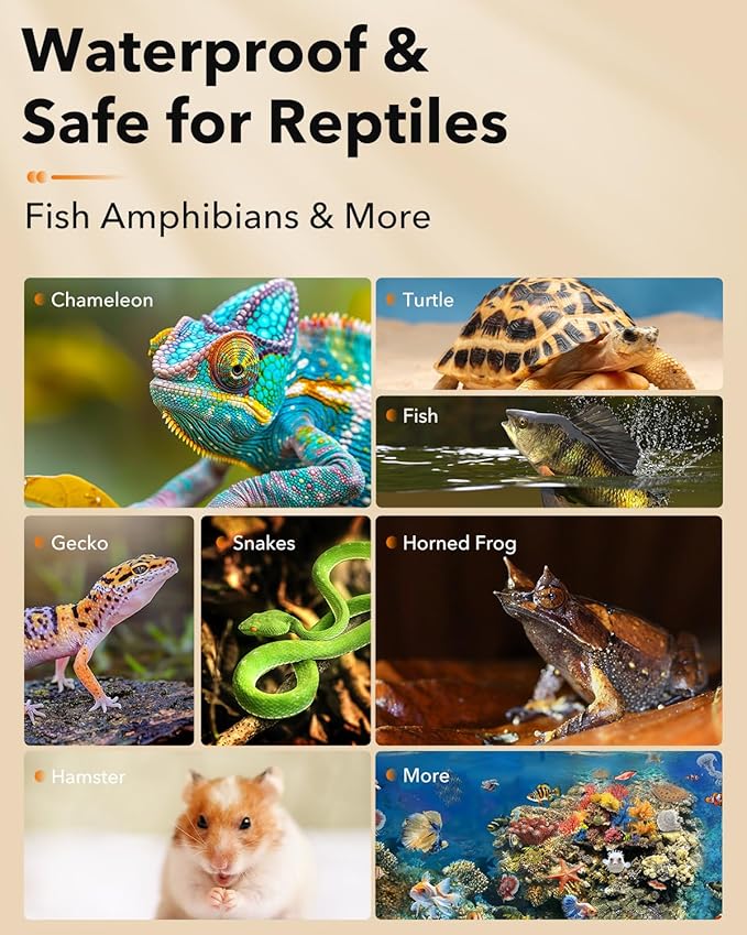 BN-LINK Reptile Heat Pad 6"X8" 8W for 10-20gal Under Tank Terrarium Heating Mat Waterproof for Turtle, Lizard, Frogs, Snake, Hermit Crab