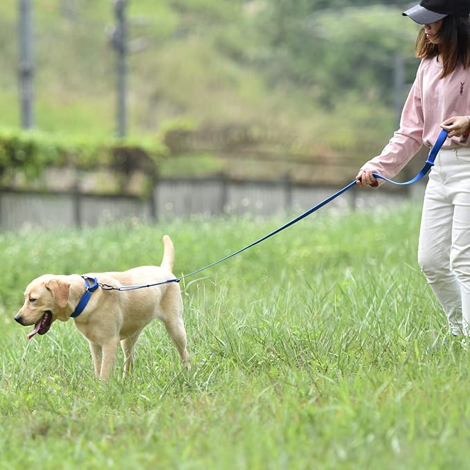 Hyhug Adjustable Solid Study Nylon Anti Escape Durable Martingale Not Slip Training Puppy Dog Collar. (Small, Bright Blue)