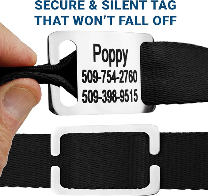 GoTags Reflective Personalized Dog Collar with Nameplate, Adjustable Dog Collar with Custom Engraved Steel Slide On Pet ID Tag, Silent, No Noise Dog Tag for Large Medium or Small (Beige, Large)