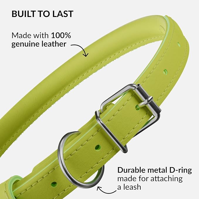 CollarDirect Rolled Leather Dog Collar, Soft Padded Round Puppy Collar, Handmade Genuine Leather Collar Dog Small Large Cat Collars 13 Colors (8-11 Inch, Lime Green Smooth)