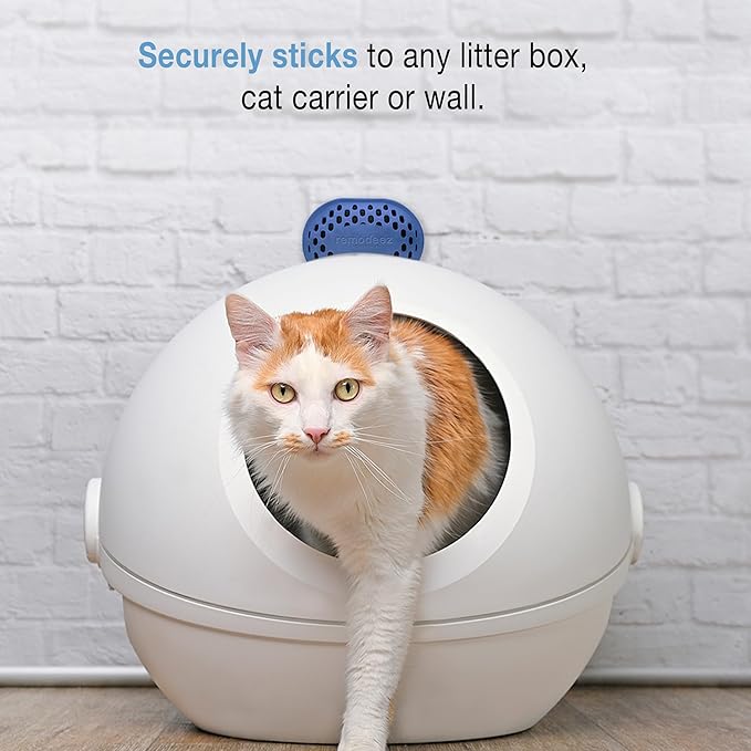 Refills for remodeez Litter Deodorizers and Odor Eliminator, Activated Charcoal, Natural Air Fresheners.