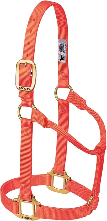 Weaver Equine Nylon Horse Halter, Triple-Ply Cheek Design, Original Non Adjustable Halters for Horses, Equine Tack,Average Size, Black