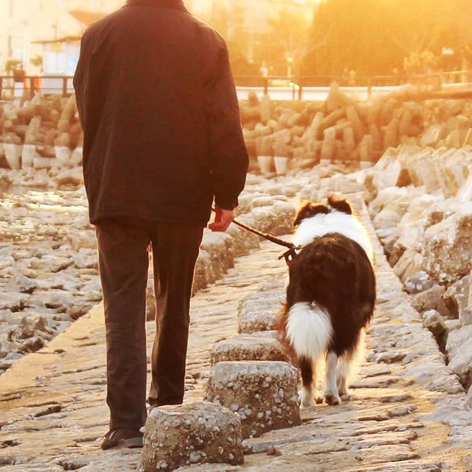 Tie Out Cable for Dogs,100FT Dog Leads,Heavy Duty Tie Out Cable for Large Dogs Up to 125lbs,Durable Dog Runner Tether Line for Outdoor,Yard