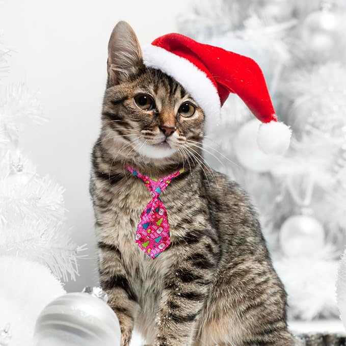 PET SHOW 10pcs Pack Christmas Small Dog Ties Neckties for Doggies Cats Adjustable Holiday Grooming Accessories Neck Ties Bowties Girl Boy Festival Costumes Puppies Party Gift Favor